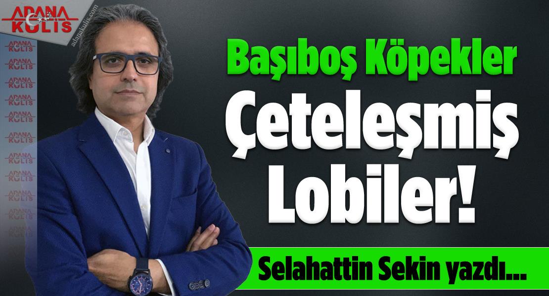 Selahattin Sekin yazdı; Başıboş Köpekler ve Çeteleşmiş Lobiler! 
