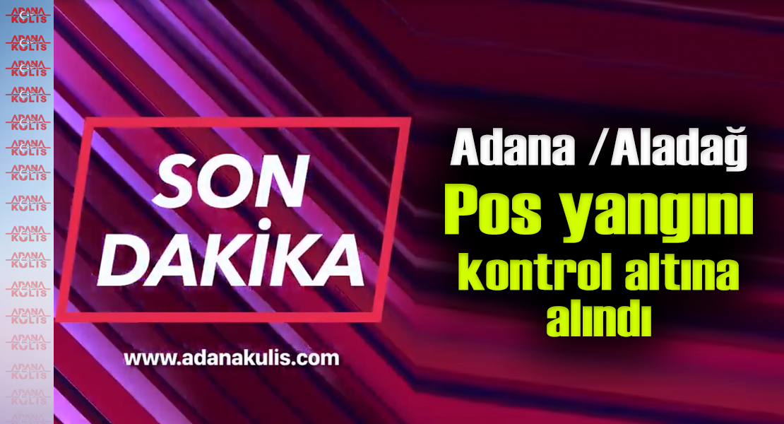 Bakan Pakdemirli: Adana Pos Orman Yangını Kontrol Altına Alındı